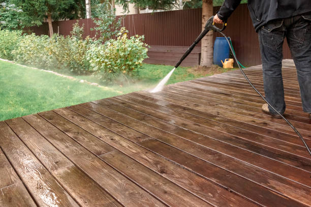 Best Animal Enclosure Cleaning  in Frankenmuth, MI