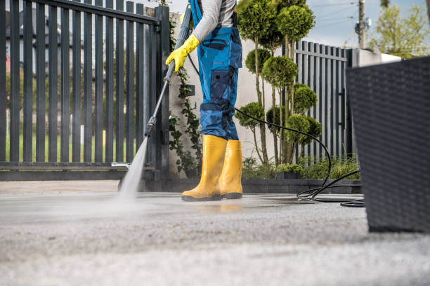 Best Fence Cleaning  in Frankenmuth, MI